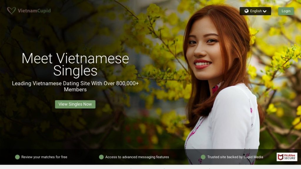 Vietnam Cupid Website